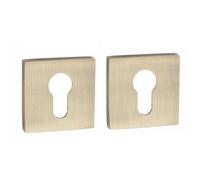 Golden Grace 1 Set Lime Design Euro Door Key Hole On Square Rose Escutcheon Cover