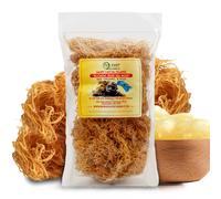 Golden Irish Sea Moss | Wildcrafted from