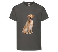 Golden Labrador Dog Pet Friends Family Forever Adult T Shirt Various Sizes And Colours (Graphite, XL)