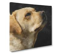 Golden Labrador Dog Vol.1 Canvas Print | Gallery Wrapped 30mm Frame Wall Art | 20x20 inches | Ready to Hang | Modern Animals Picture | Living Room Bedroom Lounge Office