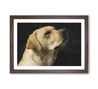 Golden Labrador Dog Vol.1 Painting Framed Print | A2 Walnut Framed Wall Art | Ready to Hang | Modern Animal Picture | Living Room Bedroom Lounge Office