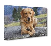 Golden Labrador Dog Vol.2 Canvas Print | Gallery Wrapped 30mm Frame Wall Art | 30x20 inches | Ready to Hang | Modern Animals Picture | Living Room Bedroom Lounge Office