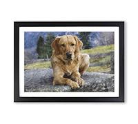 Golden Labrador Dog Vol.2 Painting Framed Print | A2 Black Framed Wall Art | Ready to Hang | Modern Animal Picture | Living Room Bedroom Lounge Office