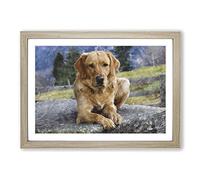 Golden Labrador Dog Vol.2 Painting Framed Print | A2 Oak Framed Wall Art | Ready to Hang | Modern Animal Picture | Living Room Bedroom Lounge Office