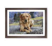 Golden Labrador Dog Vol.2 Painting Framed Print | A2 Walnut Framed Wall Art | Ready to Hang | Modern Animal Picture | Living Room Bedroom Lounge Office