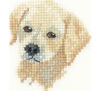 Golden Labrador Puppy - 14 count Aida - Cross Stitch Kit
