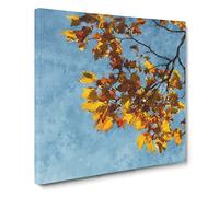 Golden Leaves of the Sycamore Tree Canvas Print | Gallery Wrapped 30mm Frame Wall Art | 14x14 inches | Ready to Hang | Modern Floral Picture | Living Room Bedroom Lounge Office
