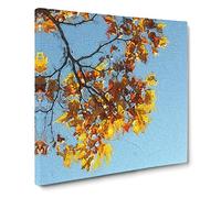 Golden Leaves of the Sycamore Tree Canvas Print | Gallery Wrapped 30mm Frame Wall Art | 20x20 inches | Ready to Hang | Modern Floral Picture | Living Room Bedroom Lounge Office