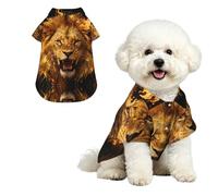 Golden Lion Roar S Pet Hawaiian Shirt for Small Dogs-Cute Summer Beach Outfit for Puppy, Soft Breathable Cat Clothes with Buttons