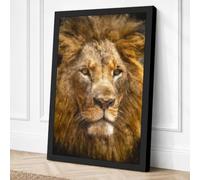 Golden Mane Rustic Canvas Wall Art Print 30x20 Inch