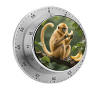 Golden Monkey Kitchen Timer 60 Minute Visual Wind Up Timers Indoor Mechanical Timers with Magnetic Base Stainless Steel Timer for Home Cooking Time Management Tool