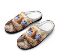 Golden Monkeys Flannel Slippers For Men Memory Foam Soft Warm Home Shoes Print 9-10(42-43)