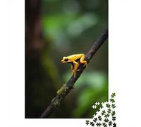 Golden Poison Dart Frog 1000-Piece Puzzle for Adults, 70x50cm/1000pcs, Clean White Cardboard for Sorting; A Weekend Activity at Your Own Pace