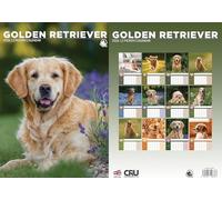 Golden Retriever 2026 Calendar - A3 Size 30 x 42 cm, 12 Months of Great Photography