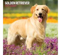 Golden Retriever 2026 Traditional Calendar
