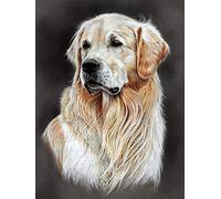 Golden Retriever Animal DIY Oil Painting Kit - Paint by Numbers for Adults