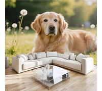 Golden Retriever Animal Mural Wallpaper 3D Effect Grassland Nature Non-Woven Self-Adhesive Wallpaper Removable Large Photo Sticker TV Background Wall Decor for Living Room Bedroom 200x140 cm