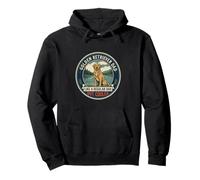 Golden Retriever Dad Like A Regular Dad But Cooler Dog Dad Pullover Hoodie