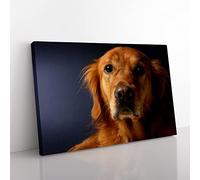 Golden Retriever Dog 2 Modern Canvas Wall Art Print Ready to Hang, Framed Picture for Living Room Bedroom Home Office Décor, 50x35 cm (20x14 Inch)