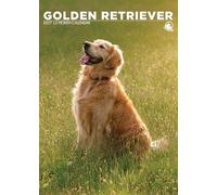 Golden Retriever Dog 2027 Calendar, A3, Full Colour, Wirobound (CRU)