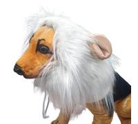 Golden Retriever Dog Cat Funny Cute Cute Wig Lion Head Hat