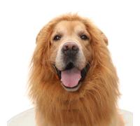 Golden Retriever Dog Cat Funny Cute Cute Wig Lion Head Hat