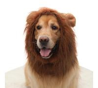 Golden Retriever Dog Cat Funny Cute Cute Wig Lion Head Hat
