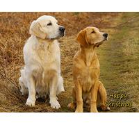 Golden Retriever Dog Christmas Card 'Happy Christmas' - Special Animal Xmas Card for Him Her from Pets Kids