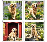 Golden Retriever Dog Coaster Set. 4 different Golden Retriever Dog Pictures on 10cm x 10cm Acrylic Coasters. Boxed Coaster Drip Mat Set.
