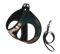 Golden Retriever Dog Compact Pet Suspender Vest-The Perfect Small Pet For A Comfortable Walk
