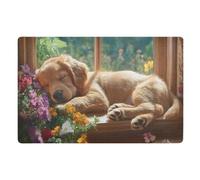 Golden Retriever Dog Doormat Front Door Mat, Non-Slip Dirt Trapper Mats for Entrance, Inside, Kitchen, 50x80 cm
