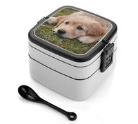 Golden Retriever Dog Lunch Box Stackable Bento Box Double Layer Leak-Proof Lunch Container with Cutlery Set