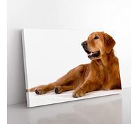Golden Retriever Dog No.2 Modern Canvas Wall Art Print Ready to Hang, Framed Picture for Living Room Bedroom Home Office Décor, 76x50 cm (30x20 Inch)