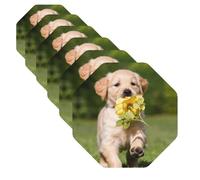 Golden Retriever Dog Print Leather Coasters Set of 6 Coasters for Drinks Beer Coffee Coasters Round Cup Mat for Tabletop Protection and Living Room Decor