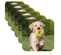 Golden Retriever Dog Print Leather Coasters Set of 6 Coasters for Drinks Beer Coffee Coasters Round Cup Mat for Tabletop Protection and Living Room Decor