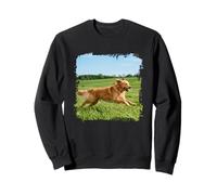 Golden Retriever Dog Running Open Field Sunny Outdoor Scene Sweatshirt