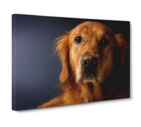 Golden Retriever Dog Vol.2 Canvas Print | Gallery Wrapped 30mm Frame Wall Art | 30x20 inches | Ready to Hang | Modern Animals Picture | Living Room Bedroom Lounge Office