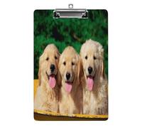 Golden Retriever Dogs Puppies Pets Clipboard Sturdy Low Profile Clip Clipboards Hanging Hole with Hanging Clipboard Acrylic Clip Board Holds 100 Sheets12.5x8.5In