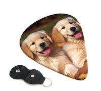 Golden Retriever dogs puppies pets Guitar Picks 6 Pack with Leather Guitar Pick Holder Keychain, Plectrum Key Fob Cases Bag, Abstract Art Plectrum for Acoustic Electric Guitar, Ukulele 0.96mm
