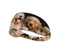 Golden Retriever dogs puppies pets Patterned sports headband, yoga elastic headband, suitable for running, fitness, cycling and other sports.