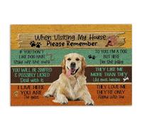 Golden Retriever Door Mat Visiting My House Please Remember Golden Retriever Dog's Rules Welcome Non-Slip Mats Funny Doormat Bathroom Kitchen Front Porch Rugs Entrance 16 * 24in/40 * 60cm