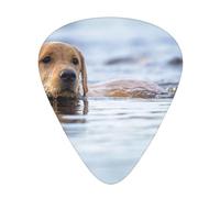 Golden Retriever Floating Dogs Pets Labrador,12 Pcs Guitar Pick,3 Different Thickness Plectrums for Acoustic Guitar Bass Ukulele (0.46mm 0.96mm 0.71mm)