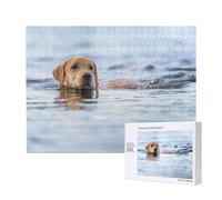 Golden Retriever Floating Dogs Pets Labrador,500 Pieces Wooden Jigsaw Family Game Jigsaw Puzzles for Adults Teens Home Decor