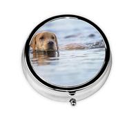 Golden Retriever Floating Dogs Pets LabradorMeta Pill Box 3 Compartment Medicine Case,Portable Organizer