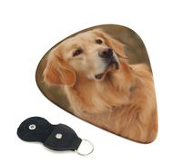 Golden retriever Guitar Picks 6 Pack with Leather Guitar Pick Holder Keychain, Plectrum Key Fob Cases Bag, Abstract Art Plectrum for Acoustic Electric Guitar, Ukulele 0.96mm