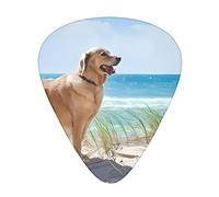 Golden Retriever Guitar Picks - Guitar Accessories - Guitar Picks For Acoustic Guitar Electric Guitar Bass Guitar For Men Women Professional Guitarist Musicians And Beginner