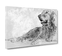Golden Retriever In Abstract Modern Art Canvas Wall Art Print Ready to Hang, Framed Picture for Living Room Bedroom Home Office Décor, 24x16 Inch (60x40 cm)