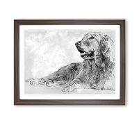 Golden Retriever In Abstract Modern Art Framed Wall Art Print, Ready to Hang Picture for Living Room Bedroom Home Office Décor, Walnut A3 (46 x 34 cm)