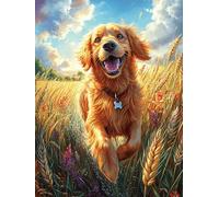 Golden Retriever in Wheat Field 1000 Piece Complete Jigsaw Puzzle Set Mitos Cuento De Hadas Teens Beginners Educational Challenge Puzzle Fans Group Play Anniversary Quality Material 1000 PCS