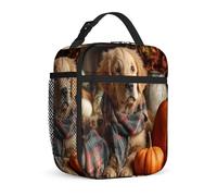 Golden Retriever Insulated Lunch Bag, Autumn Cozy Pumpkin Scarf Fall Brown Waterproof Reusable Lunch Tote Bag for Work Travel Commuting 1pcs